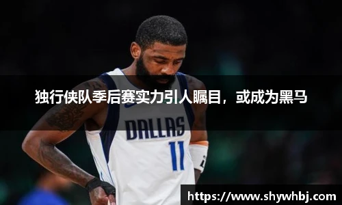 独行侠队季后赛实力引人瞩目，或成为黑马