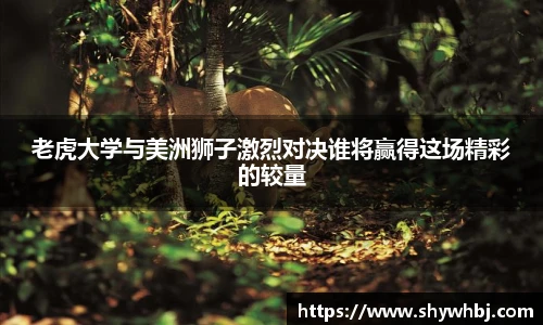 米兰体育官网